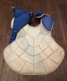 Willson Contreras 2017 Game Used Catcher's Gear Set (red)