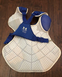 Willson Contreras 2017 Game Used Catcher's Gear Set (white)