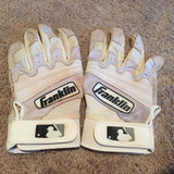 Jacob Scavuzzo 2015 Game Used Batting Gloves (pair)